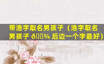带浩字取名男孩子（浩字取名男孩子 🌾 后边一个字最好）